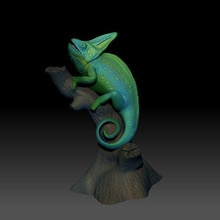 chameleon calyptratus modell tree animal reptile pet nature lizard science biology 3d print model - Mito3D