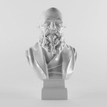 charles robert Darwin escultura escultor estátua fracasso líder pessoa carisma história histórico artista filósofo cientista físico figura 3dscan humano homem arte esculturas 3d print model - Mito3D
