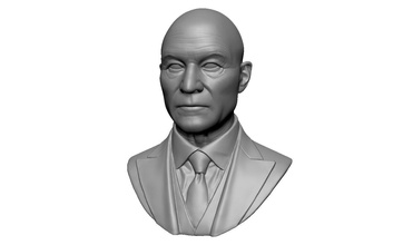 charles xavier, Profesör x sanat adam karakter büstü baş yüz insanlar heykel portre film aktör heykeller 3d print model - Mito3D