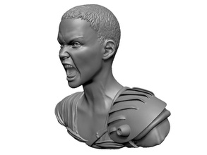 şımartmak theron kızgın deli max öfke yol film aktör aktris kadın büst şekil heykel baş şöhret insanlar vesika sanat heykeller 3d print model - Mito3D
