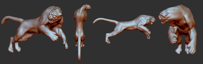 çita anatomi Biyoloji vücut Bilim puma aslan takı 3d print model - Mito3D