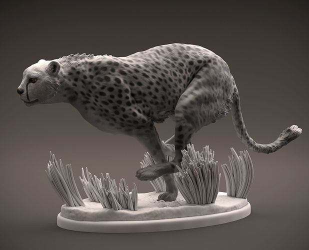 cheetah running intended 3d printing wild cat africa african animal feline chasing printable statue miniature mini sculpture sculpt art sculptures 3D print model - Mito3D