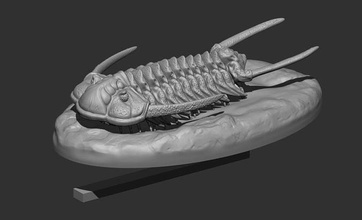 süne kişi tutma kil trilobit fosil hayvan sla 3dprinter kamboçya dönem paleontoloji tarih öncesi nesli tükenmiş bilim biyoloji fdm dpl 3d print model - Mito3D