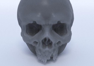 ciliegia cranio desktop osso Halloween arte orrore spaventoso anatomia statua sculture 3d print model - Mito3D
