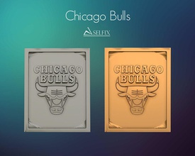 chicago bulls logo relief basketball art sculptures signs logos 3d print model - Mito3D