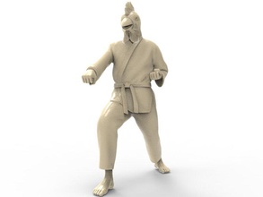 pollo zenkutsu dachi posición art de la postura el karate acción figura actionfigure carácter marcial super héroe humanos híbrida lucha juguete los juguetes impresión imprimible las esculturas 3d print model - Mito3D