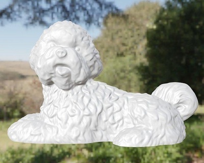 chien bichon animale cane maltese arte sculture 3d print model - Mito3D