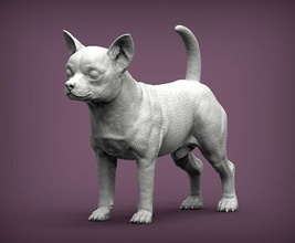 chihuahua perro naturaleza mamífero animal mascota escultura estatuilla recuerdo 3d impresión modelo esculpir Arte esculturas estatua imprimible animales 3d print model - Mito3D