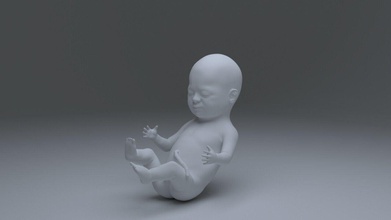 bambino 1 mese neonato organico 1month scienza biologia 3d print model - Mito3D