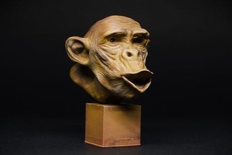 şempanze 3d Yazdır model maymun goril heykel memeli Sanat doğa Afrika hayvan baskı modeli 3dprint minyatür 3dprinter heykelcik yaban hayatı hayvanat bahçesi 3dprinting heykeller 3d print model - Mito3D
