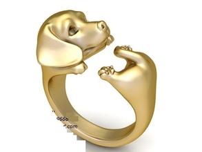 chinois saucisse or bague 25 bijoux mode accessoires diamant homme Hommes femme femmes unisexe conception anneaux 3d print model - Mito3D