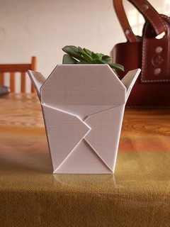 chinese takeout box succulent planter flowerpot noodles plant garden house cactus home homedecor plants green gardening nature indoor oyster pail decor 3d print model - Mito3D