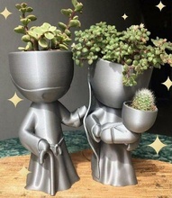 noël pot robert fleur croissance plante d'appartement poterie vase feuille cactus flore arbre vert botanique maison 3d print model - Mito3D