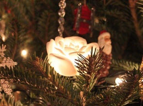 christmas rose house decoration ornament holiday tree celebration xma lighting 3d print model - Mito3D
