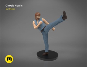 chuck norris figure actor combat hero hollywood kick martial arts ranger statue texas walker figurines group movies world games toys 3d print model - Mito3D
