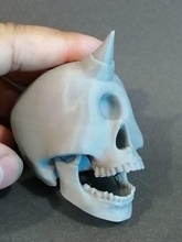 ciclopo crânio coluna esquelético humano esqueleto musculatura ciência osso animal corpo fêmur nariz ossos guindaste calavera jogos brinquedos 3d print model - Mito3D