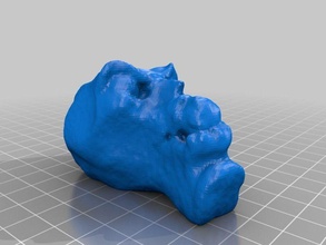 Ton Kopf goober Kunst scan Skulpturen digitizer 3d print model - Mito3D