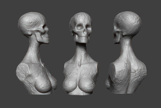 clay skull art bust face head woman female girl skeleton statue miniature figurine sculpt zbrush sculptures 3d print model - Mito3D