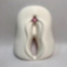 klitoris anatomi ilaç Bilim Biyoloji Kadın vücut Eğitim kadın 3d print model - Mito3D
