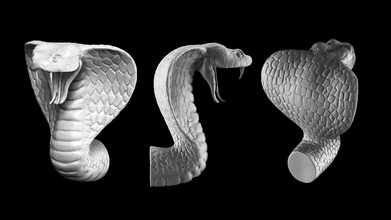 cobra cabeza serpiente anatomía biología reptil ciencias animal naturaleza fauna silvestre decoración casa dientes zoología madera médico 3d print model - Mito3D