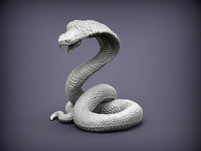 kobra yılan sürüngen ağzı açık 3d basılı şekil hayvan yırtıcı Yazdır yaratık gerçekçi deri vahşi doğa Biyoloji zooloji kertenkele heykel heykeller Sanat 3d print model - Mito3D