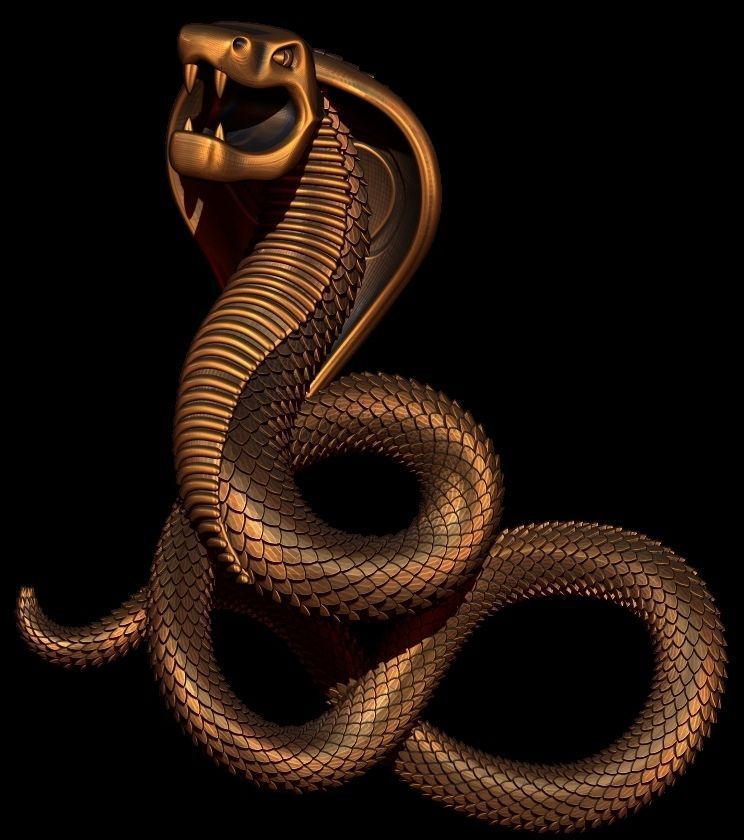 kobra non uniform rational spline nurbs schlange schlangen reptil juwel anhänger gold silber schmuck 3D print model - Mito3D