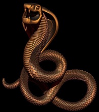 cobra non uniform racional b spline nurbs serpente cobras réptil jóia pingentes ouro prata joalheria 3d print model - Mito3D