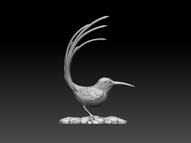 colibri humming bird beak feathers wings art sculptures sculpture hummingbird print white throat 3D print model - Mito3D