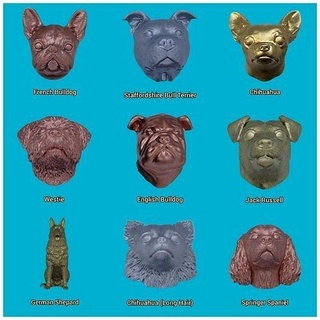 collection dog handles knobs bull terrier bullterrier doghome home doorknobs knob handle animal nature mammal canine puppy house accessories 3d print model - Mito3D