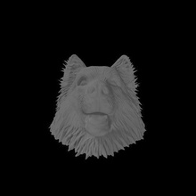 collie maniglia cane Toro terrier Bull casa maniglie pomello animale natura mammifero canino cucciolo Casa Accessori 3d print model - Mito3D