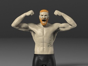conor mcgregor ufc mma uomo forza scultura arte scatola combattimento combattente sculture 3d print model - Mito3D