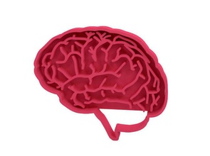 biscotto taglierina anatomia neurologia testa cibo attrezzo scienza dolce casa cucina cenare 3d print model - Mito3D
