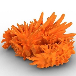 corallo acquario deco sott'acqua corallo natura mare invertebrato acqua acquario animali oceano anemone scienza biologia 3d print model - Mito3D