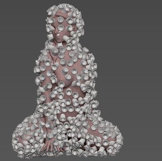 corallo ragazza acquario cyphastrea In piano Casa arredamento 3d print model - Mito3D