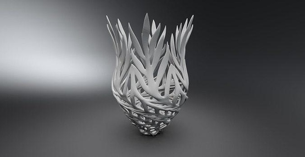 coral vaso imprimível arte natureza flor resumo utensílios domésticos matemático 3d print model - Mito3D