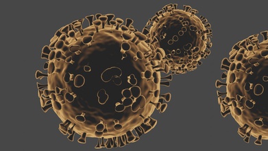 corona virus des bactéries microbiologie la science scientifique neurologie de biologie géométriques 3d print model - Mito3D