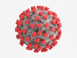 corona virus microbiologia medicinale medico patologia covid 19 sars pandemia germe scienza coronavirus biologia 3d print model - Mito3D