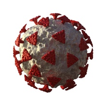 corona virus covid 19 3d modell covid pandemie ausbruch 3dprint qualität schutz ressourcen wissenschaft biologie 3d print model - Mito3D