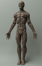 corrupted anatomy torso man muscle people science bone art games toys 3d print model - Mito3D