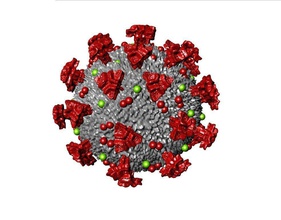 covid-19 corona virus covid19 sarscov2 microbiologie de la médecine médicaux maladie pneumonie microbe organique l'organisme santé microscopiques covid 19 le sras cov science d'autres 3d print model - Mito3D