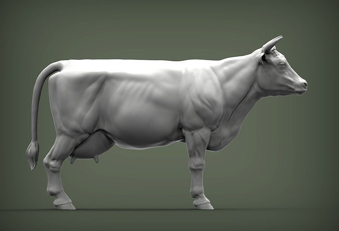inek 3d yazdır model boğa bufalo amerikan doğa memeli hayvan evcil hayvan heykel heykelcik hatıra şekil vermek sanat heykeller süt çiftlik 3D print model - Mito3D