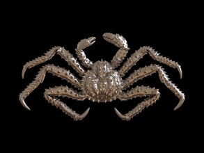 crabe roi soulagement 3d impression modèle poisson animal mer griffe crustacé nature océan l'eau réel vivant science biologie recouvrir kamtchatski 3dprint bijoux pendentifs 3d print model - Mito3D