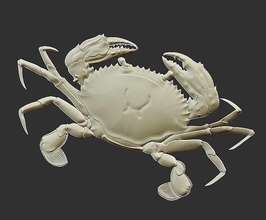 a crab wildlife nature claw animal shellfish seafood relief statue sculpture pendant jewelry decor decoration ornate ornament art sculptures 3d print model - Mito3D