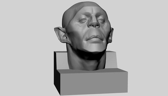 creature head 3dprint characters creatures face anatomy ear nose mouth bust people printable sculpture man figure statue zbrush sculpting art sculptures 3d print model - Mito3D