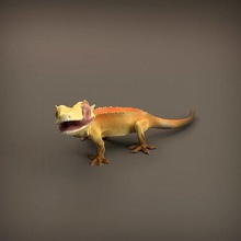 crested gecko 3d printing animal reptile lizard dragon cute sculpture figure miniature statue presupported supported companion realistic wildlife nature creature art sculptures 3d print model - Mito3D