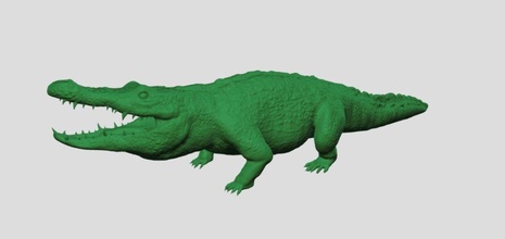 krokodil alligator reptil tierwelt tier natur kreatur eidechse drachen leguan zoo tiere skulptur statue raubtier bildung wissenschaft wild dinosaurier kunst skulpturen 3d print model - Mito3D