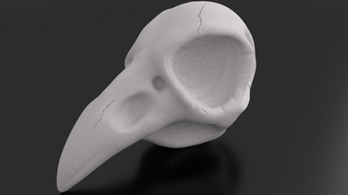 corvo crânio 3d impressão animal anatomia cabeça pássaro raven assustador horror imprimível adereços bruxas natureza surreal assombrada arte highpoly 3dprinting ciência astronomia física 3d print model - Mito3D