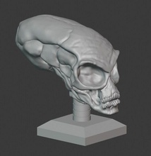 Kristall Schädel Skulptur Kopf Außerirdischer UFO Relikte Hobby DIY 3d print model - Mito3D