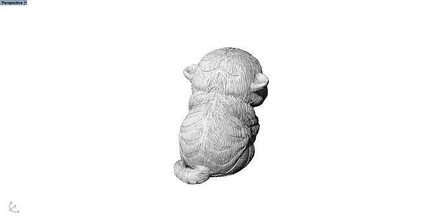 lindo Tigre cachorro animal caracteres juego imprimible escultura decorativo duende mago malla electrónico cabeza aislado escritorio naturaleza 3d print model - Mito3D