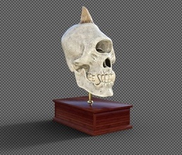 cyclopskull skull spikes head bone character face portrait animal skeleton ancient monster art deco sculptures 3d print model - Mito3D